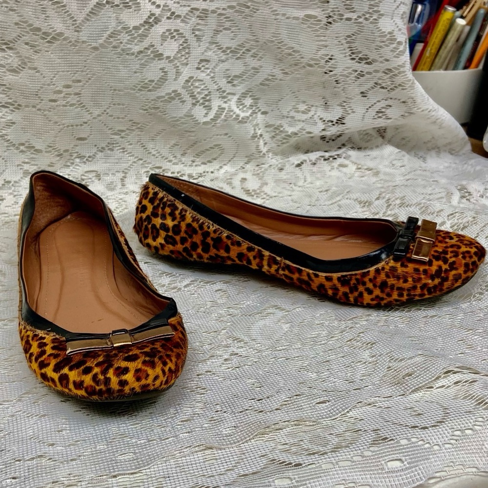 Colcci Genuine Leopard Leather Flat Shoes Size 8
